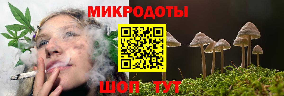 Псилоцибиновые грибы Psilocybe Псков